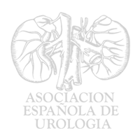Asociación Española de Urología